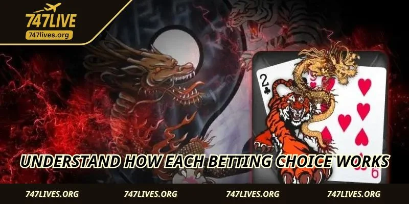 Understand how each betting choice works