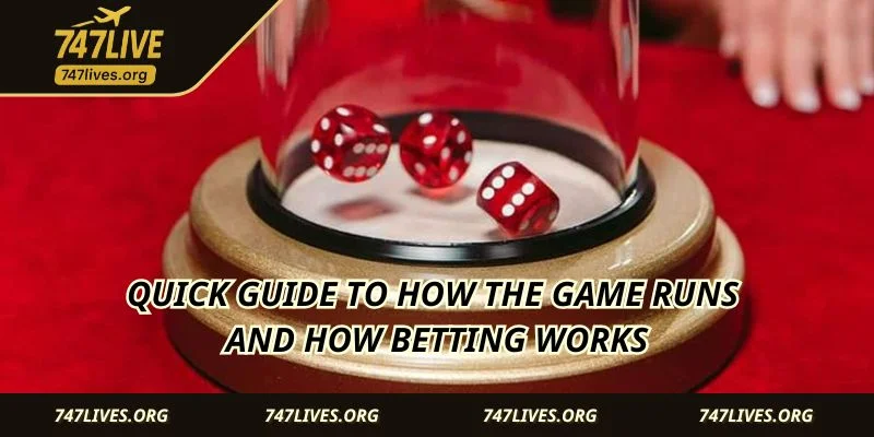 Quick guide to how the game runs and how betting works
