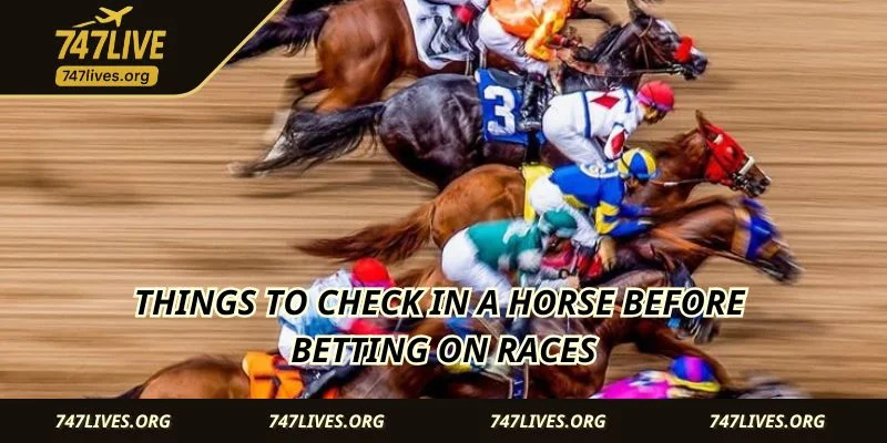 Things to check in a horse before betting on races