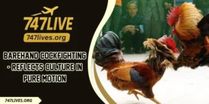 Barehand Cockfighting - Reflects Culture In Pure Motion