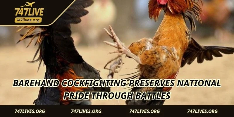 Barehand Cockfighting preserves national pride through battles