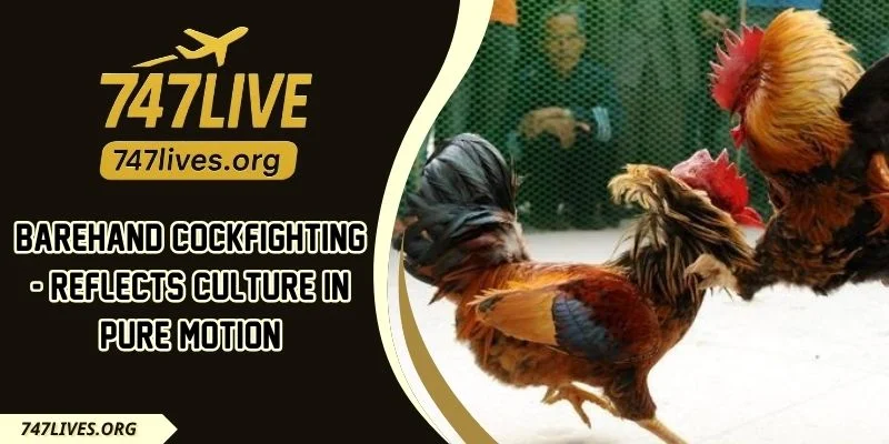 Barehand Cockfighting - Reflects Culture In Pure Motion