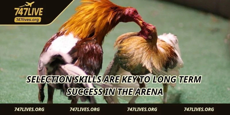 Selection skills are key to long term success in the arena