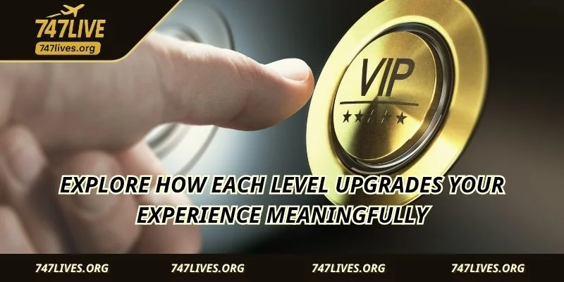 Explore how each level upgrades your experience meaningfully