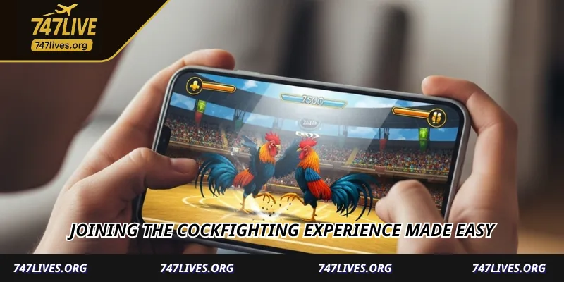 747Live Cockfighting - Thrilling Live Battles & Big Rewards