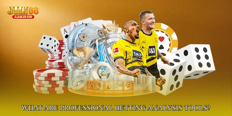 What Are Professional Betting Analysis Tools?