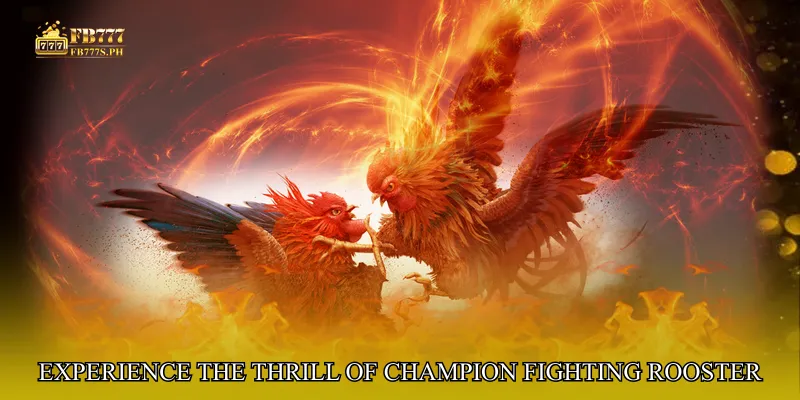 Experience the Thrill of Champion Fighting Rooster Zone