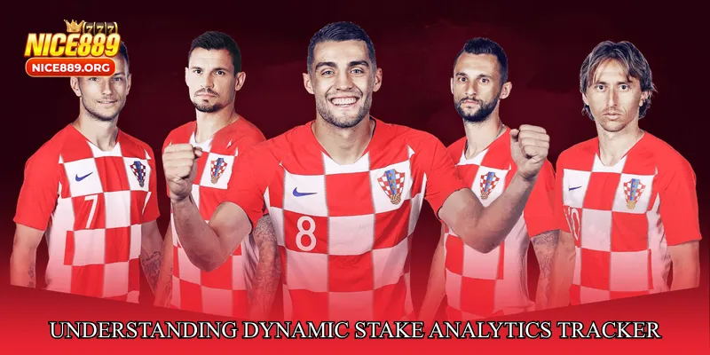 Understanding Dynamic Stake Analytics Tracker