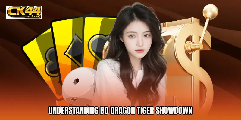 Understanding BD Dragon Tiger Showdown