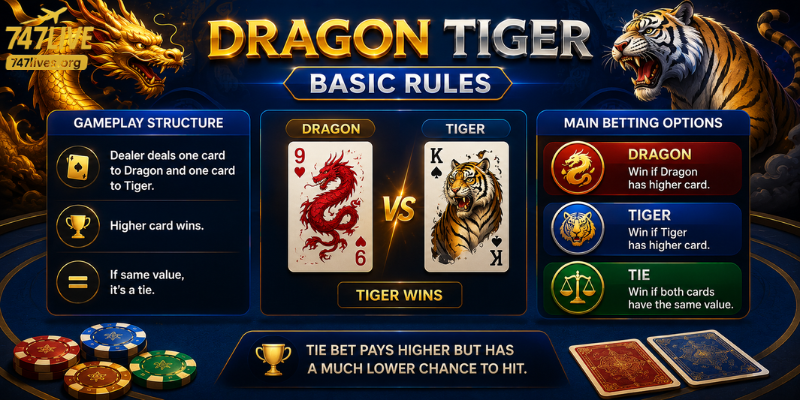 Understanding the Basic Rules